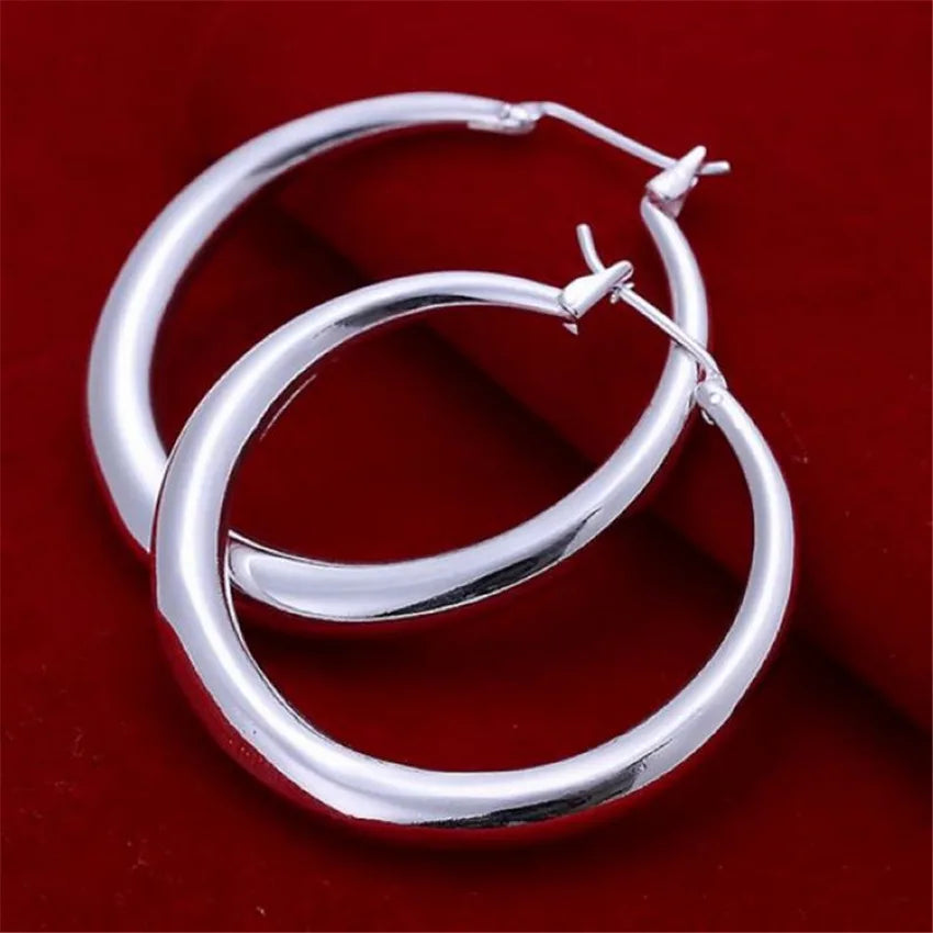 factory price E20 wholesale circle hook silver color earrings high quality fashion classic jewelry wedding women lady E020