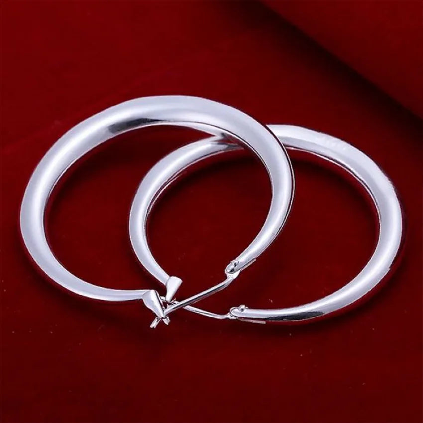 factory price E20 wholesale circle hook silver color earrings high quality fashion classic jewelry wedding women lady E020